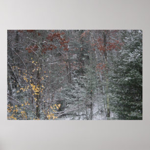 Fall vor Winter Poster