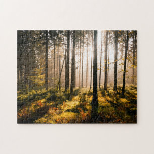Fall-Wald mit Sunrays Puzzle
