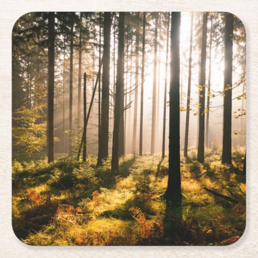 Fall-Wald mit Sunrays Rechteckiger Pappuntersetzer (Vorderseite)