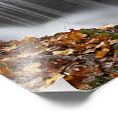 Fall Wasserfall bei Vanderbuild Fotodruck (Ecke)