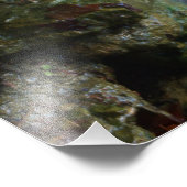 Fall Wasserfall Fotodruck (Ecke)