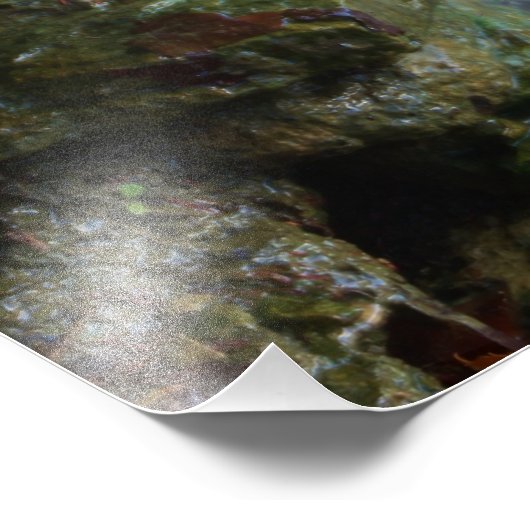 Fall Wasserfall Fotodruck (Ecke)