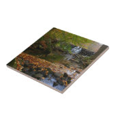 Fall Wasserfall und Creek Pennsylvania Natur Fliese (Seite)