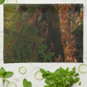 Fall Wasserfall und Creek Pennsylvania Natur Handtuch (Gefaltet)