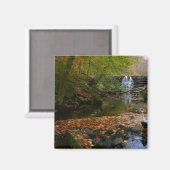 Fall Wasserfall und Creek Pennsylvania Natur Magnet (Vorderseite/Rückseite)