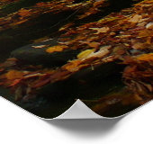 Fall Wasserfall und Creek Pennsylvania Natur Poster (Ecke)