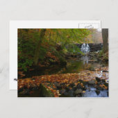 Fall Wasserfall und Creek Pennsylvania Natur Postkarte (Vorne/Hinten)