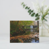 Fall Wasserfall und Creek Pennsylvania Natur Postkarte (Stehend Vorderseite)