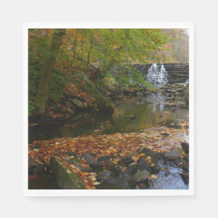 Fall Wasserfall und Creek Pennsylvania Natur Serviette