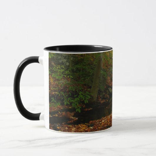 Fall Wasserfall und Creek Pennsylvania Natur Tasse (Links)
