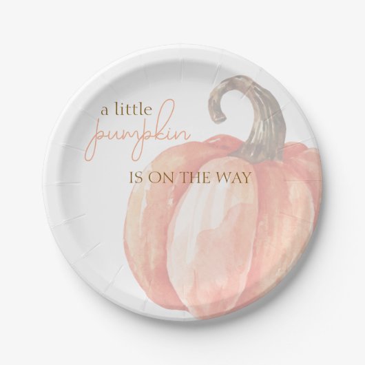 Fall Wasserfarbe Orange Pumpkin Baby Dusche Pappteller (Vorderseite)