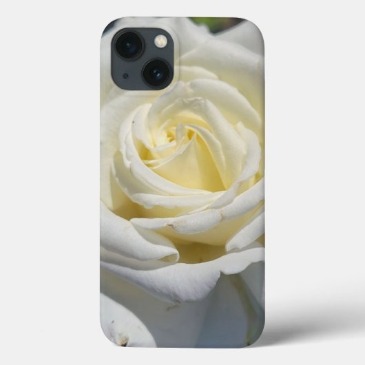 Fall White Rose Case-Mate Case-Mate iPhone Hülle (Rückseite)