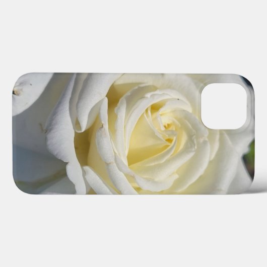 Fall White Rose Case-Mate iPhone Hülle (Rückseite (Horizontal))