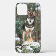 Fall Wolfdog iPhone 12