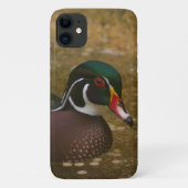 Fall Wood Duck Case-Mate iPhone Case-Mate iPhone Hülle (Rückseite)
