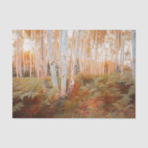 Fall Woodland Fern Forest Birch Trees Art