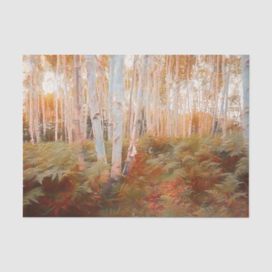 Fall Woodland Fern Forest Birch Trees Art Seidenpapier (Vorderseite)