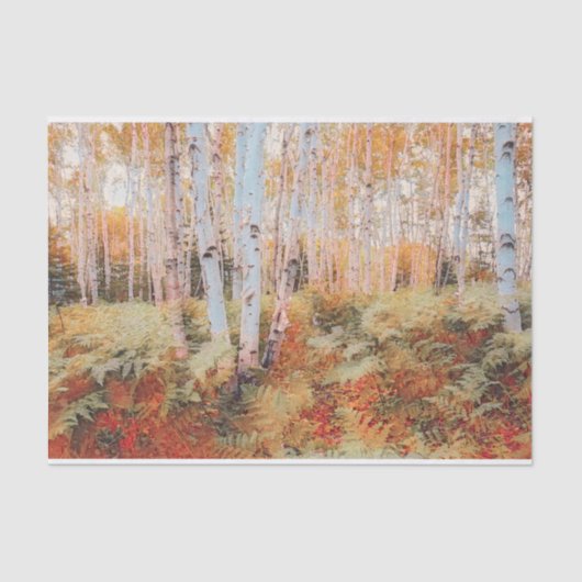 Fall Woodland Fern Forest Birch Trees Seidenpapier (Vorderseite)