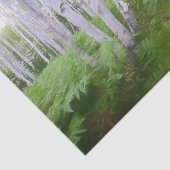 Fall Woodland Fern Green Forest Birch Trees Art Seidenpapier (Ausschnitt)