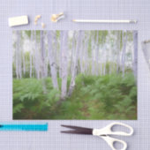Fall Woodland Fern Green Forest Birch Trees Art Seidenpapier (Handwerk)