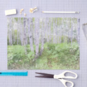 Fall Woodland Fern Not leidende WaldBirken Bäume Seidenpapier (Handwerk)