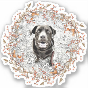Fall Wreath Pet FOTO Acorns Blätter Berries Rustik Aufkleber