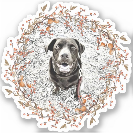 Fall Wreath Pet FOTO Acorns Blätter Berries Rustik Aufkleber (Vorderseite)