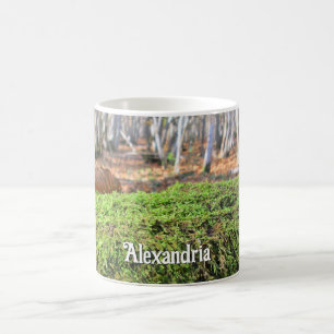 Fallbaum im Herbstmoos - Personalisiert Kaffeetasse