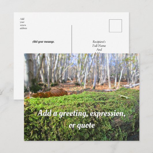 Fallbaum im Herbstmoos - Personalisiert Postkarte (Vorne/Hinten)
