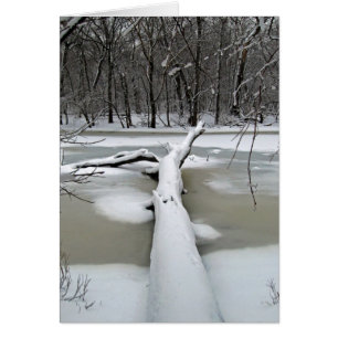 Fallbaum in Winterkarte