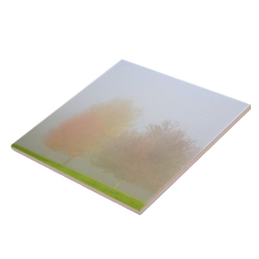 Fallbäume eingehüllt in Nebel Fliese (Seite)