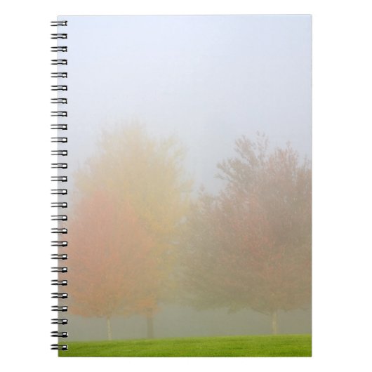 Fallbäume eingehüllt in Nebel Notizblock (Vorderseite)