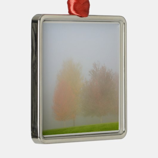 Fallbäume eingehüllt in Nebel Silbernes Ornament (Rechts)