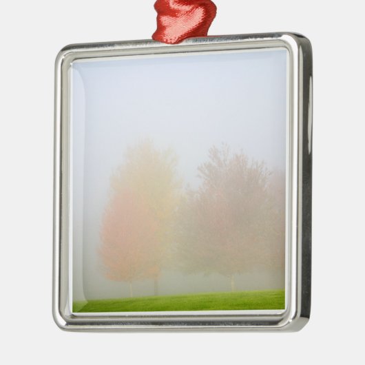 Fallbäume eingehüllt in Nebel Silbernes Ornament (Links)