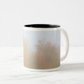 Fallbäume eingehüllt in Nebel Zweifarbige Tasse (VorderseiteRechts)