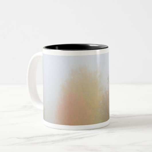 Fallbäume eingehüllt in Nebel Zweifarbige Tasse (Vorderseite Links)
