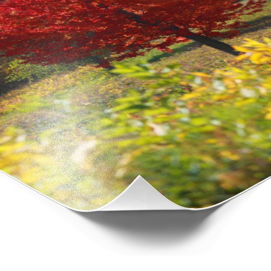 Fallbilder | Bilder vom Fall Fotodruck (Ecke)