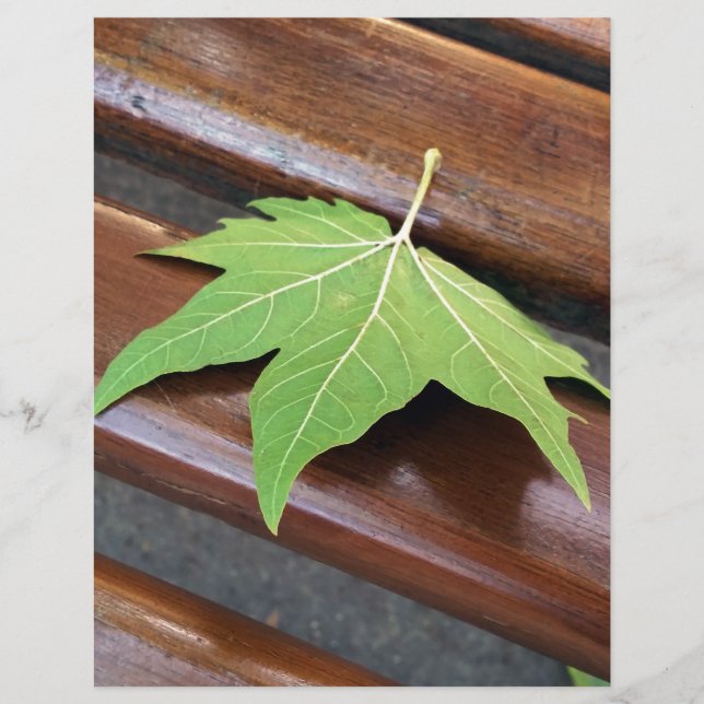 Fallblatt (Vorderseite)