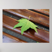 Fallblatt Poster (Vorne)