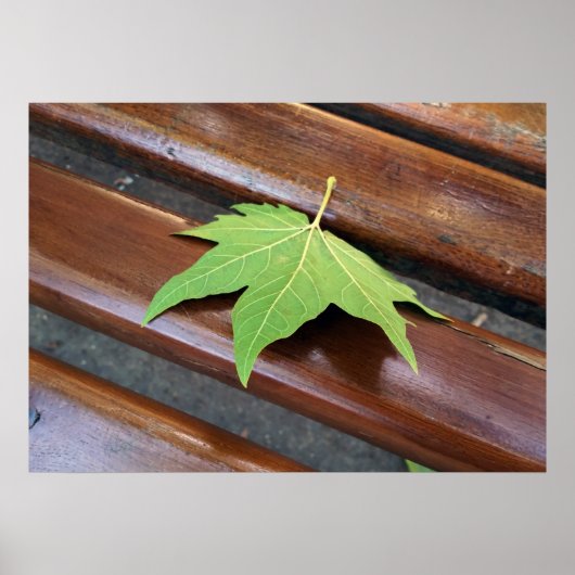 Fallblatt Poster (Vorne)