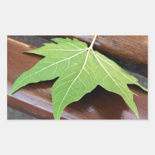 Fallblatt Rechteckiger Aufkleber