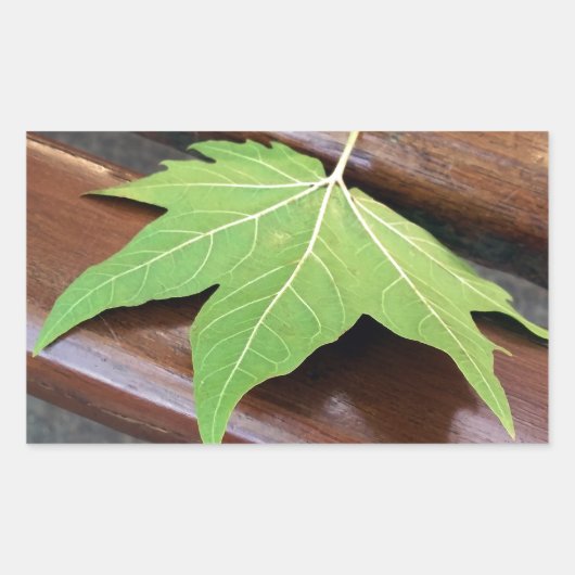 Fallblatt Rechteckiger Aufkleber (Vorderseite)