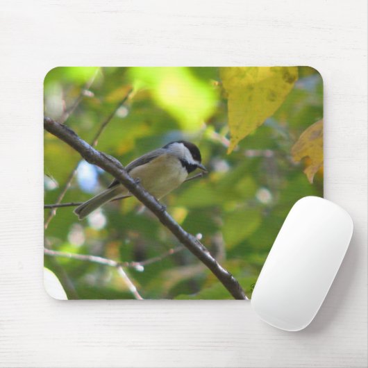 FallChickadee Mousepad (Mit Mouse)
