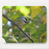 FallChickadee Mousepad (Vorne)