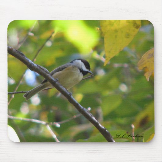 FallChickadee Mousepad (Vorne)