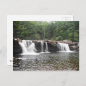 Fälle der Hitze Postkarte (Vorne/Hinten)