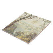 Fälle des Anio (w/c) Fliese (Seite)