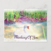 Fälle_ Postkarte (Vorderseite)