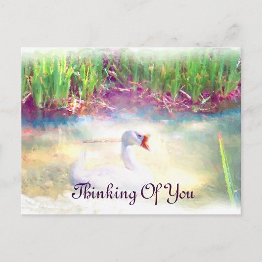 Fälle_ Postkarte (Vorderseite)