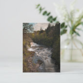 Fälle von Clyde Postkarte (Stehend Vorderseite)
